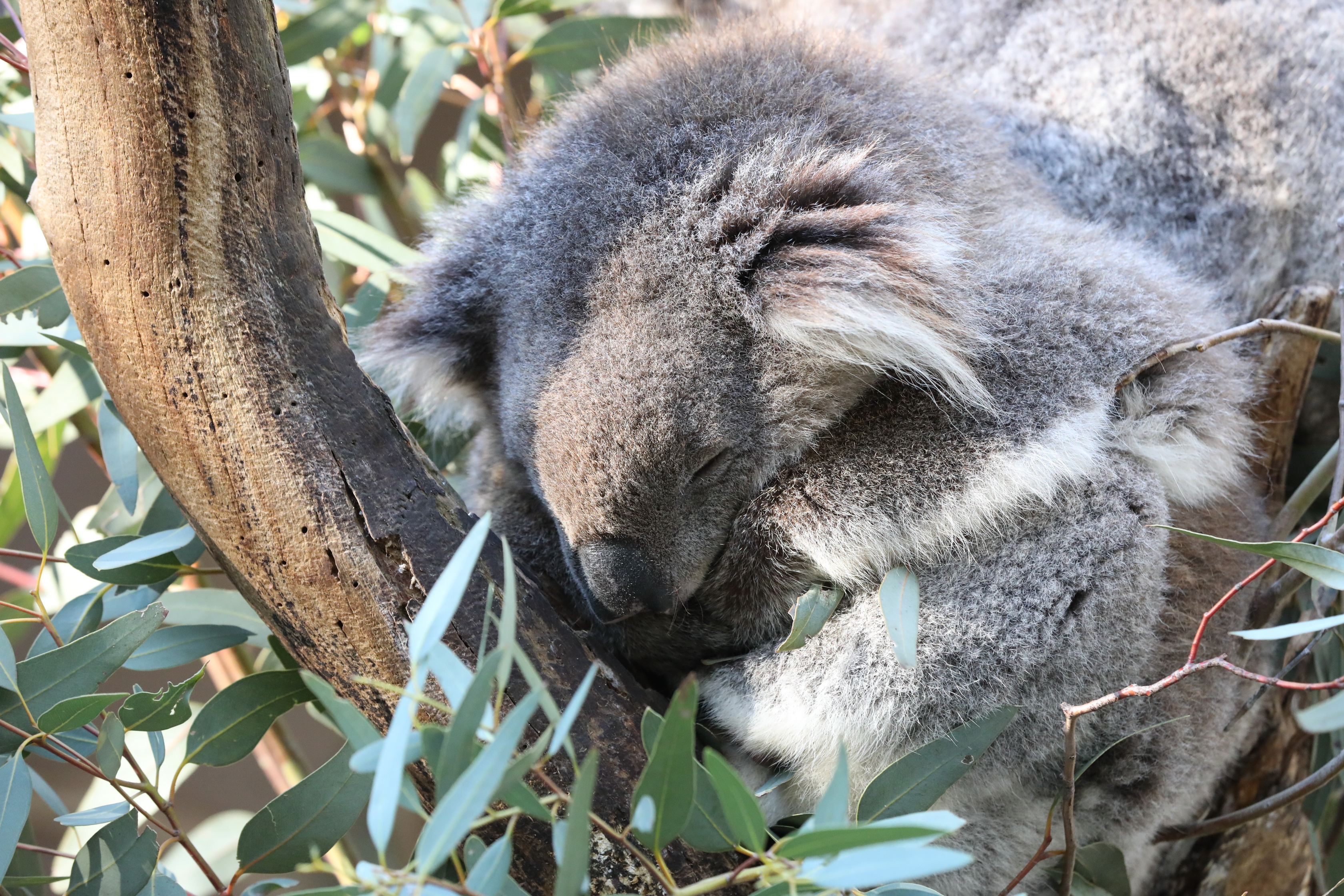 2019 07 19 15 20 06 Canon EOS 5D Mark IV 0037